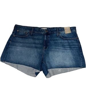 Madewell Relaxed Denim Shorts Size 24W